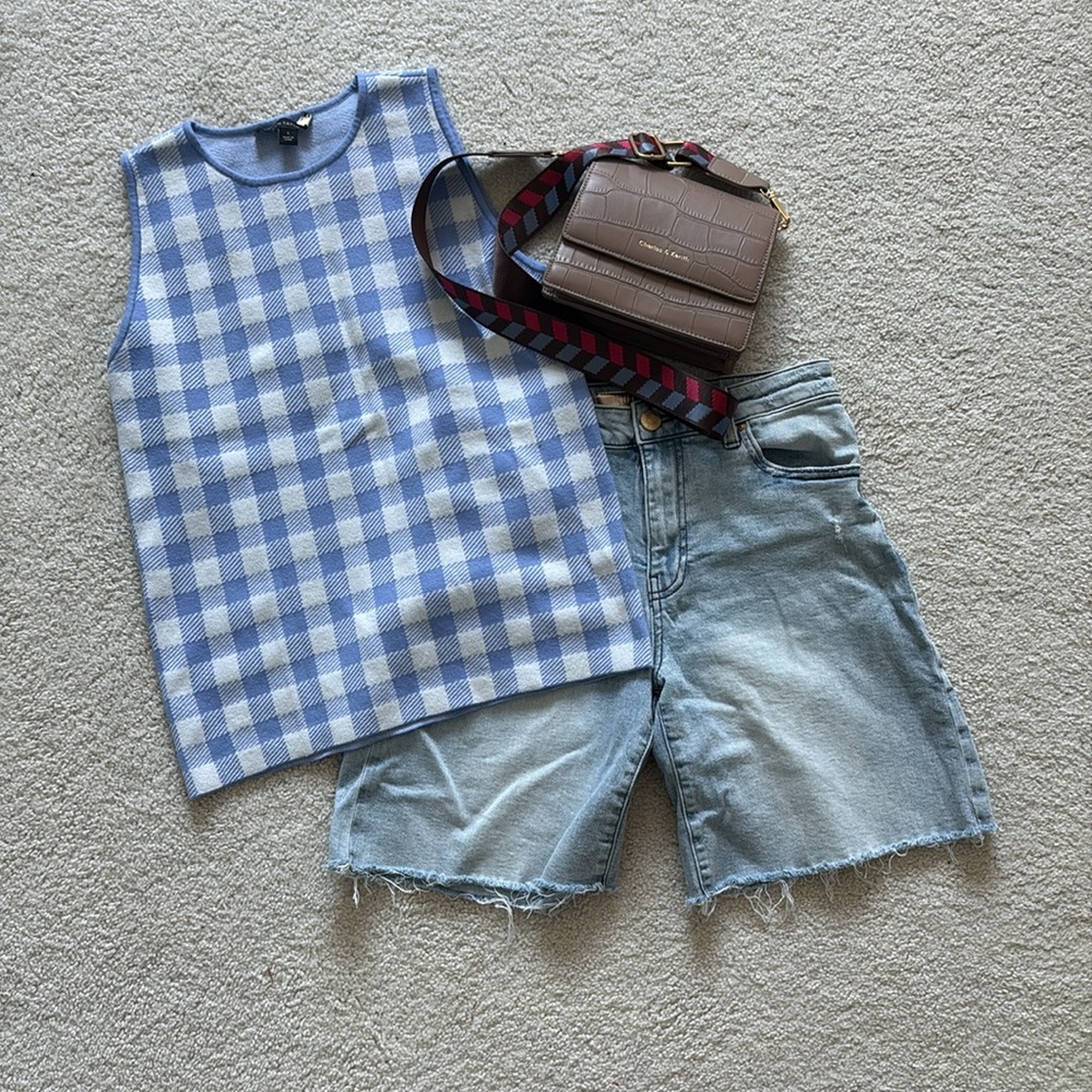 Ann Taylor Blue and White Checkered Sweater